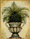 Tropical Urn I