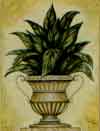 Tropical Urn II