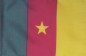 3 x 5 Cameroon