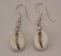 Single Cowry Shell Earrings