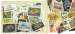 Assorted African Postage Stamps (100)