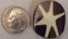 Flat Round Star Beads